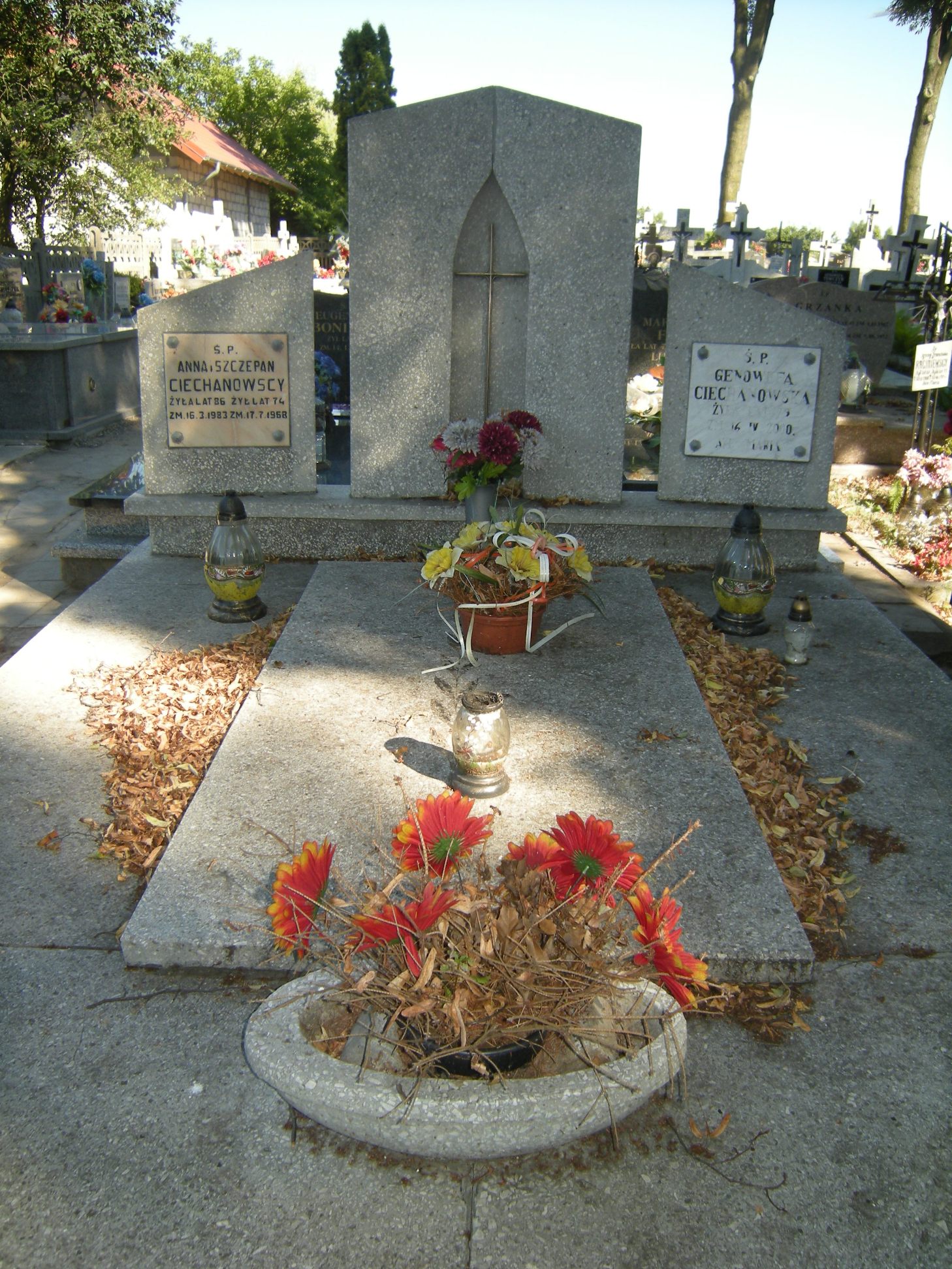 Grób Genowefa Ciechanowska