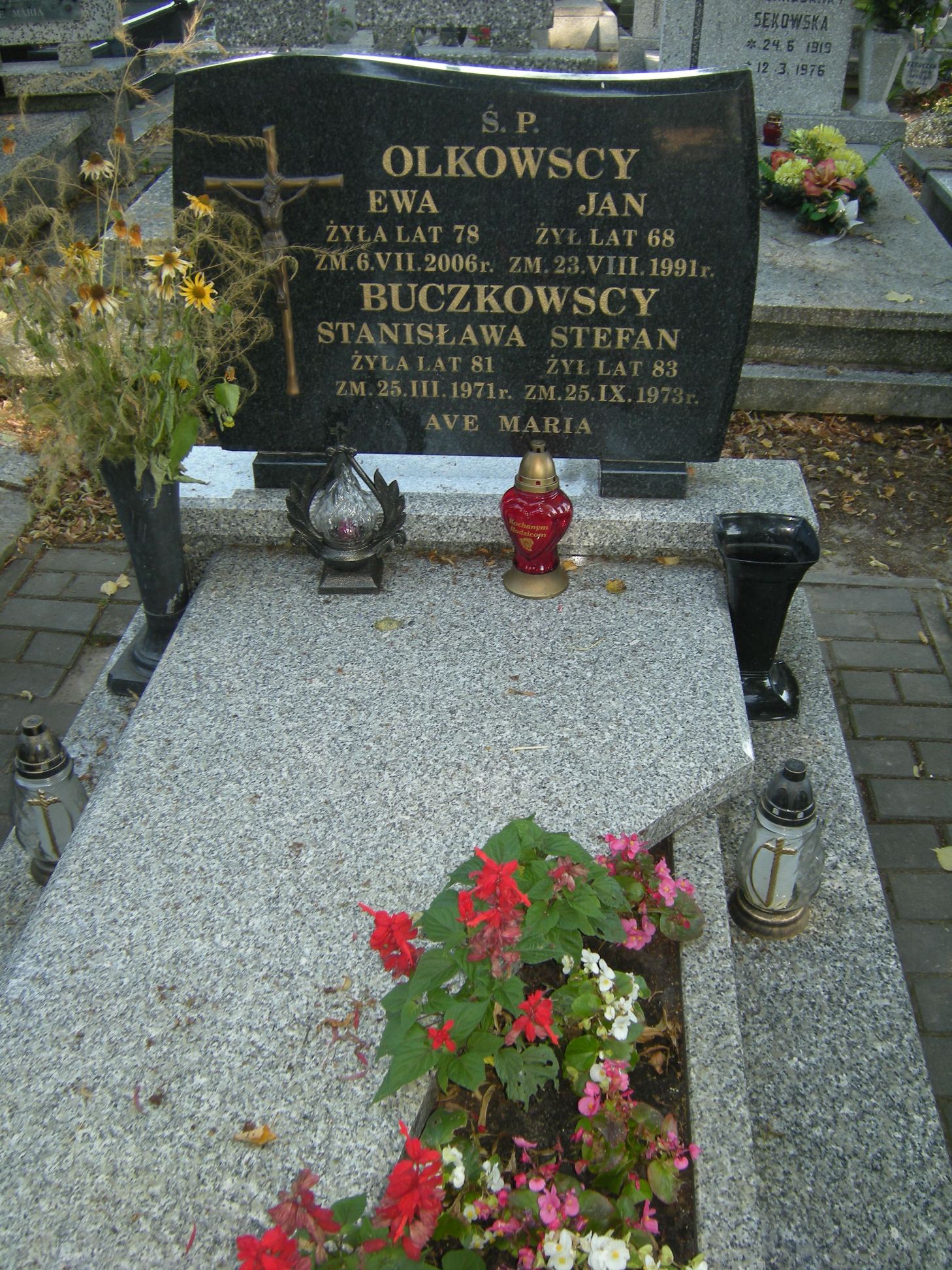 Kazimierz Olkowski 1949 Kikół - Grobonet - Wyszukiwarka osób pochowanych