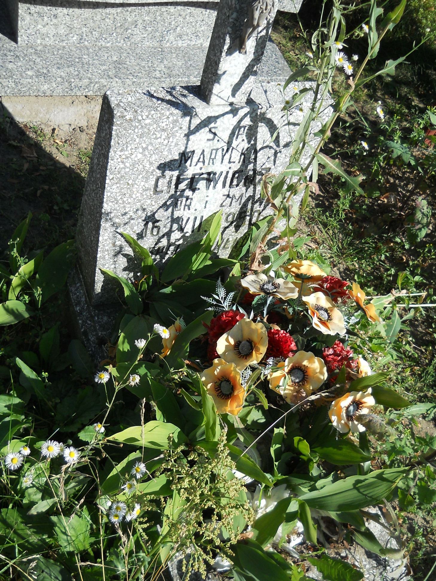 Grób Marylka Ciećwierz