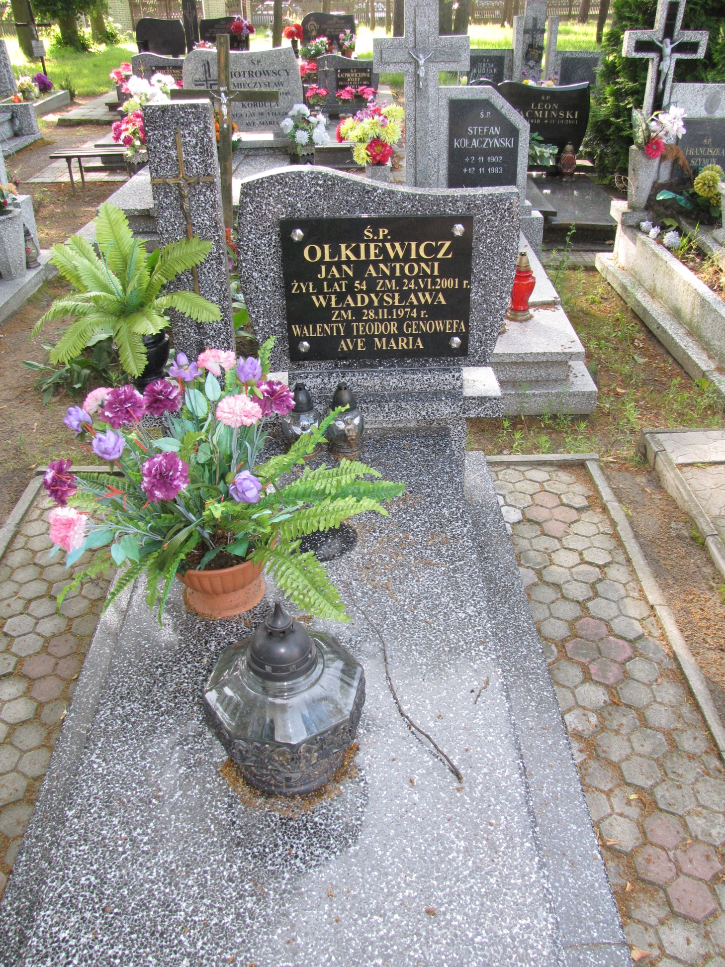 Grób Władysława Olkiewicz