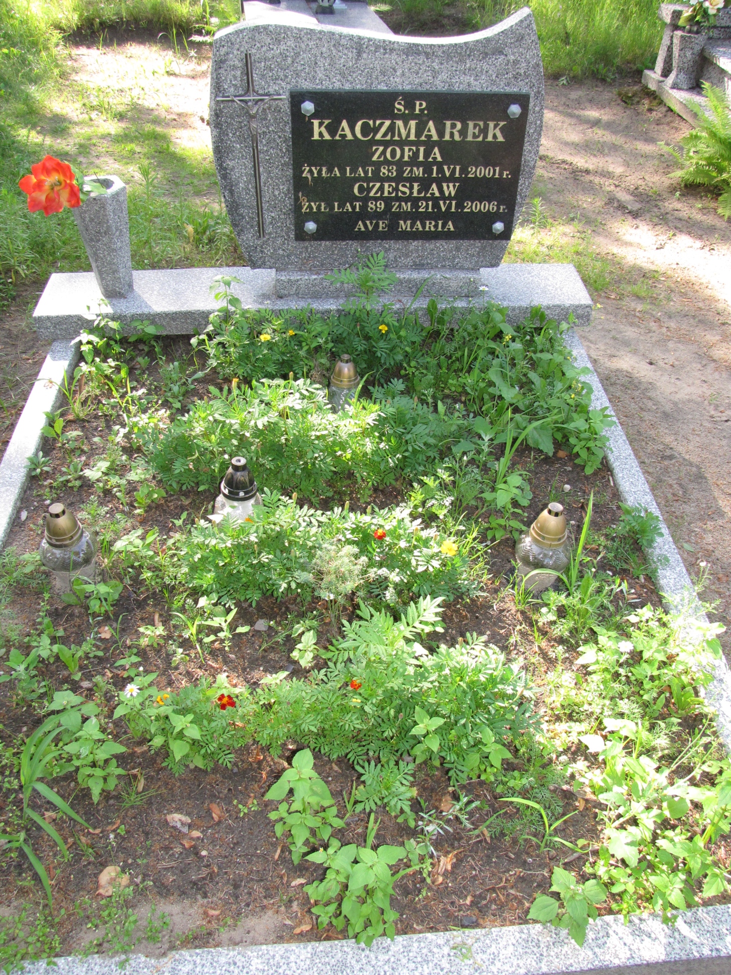 Grób Zofia Kaczmarek