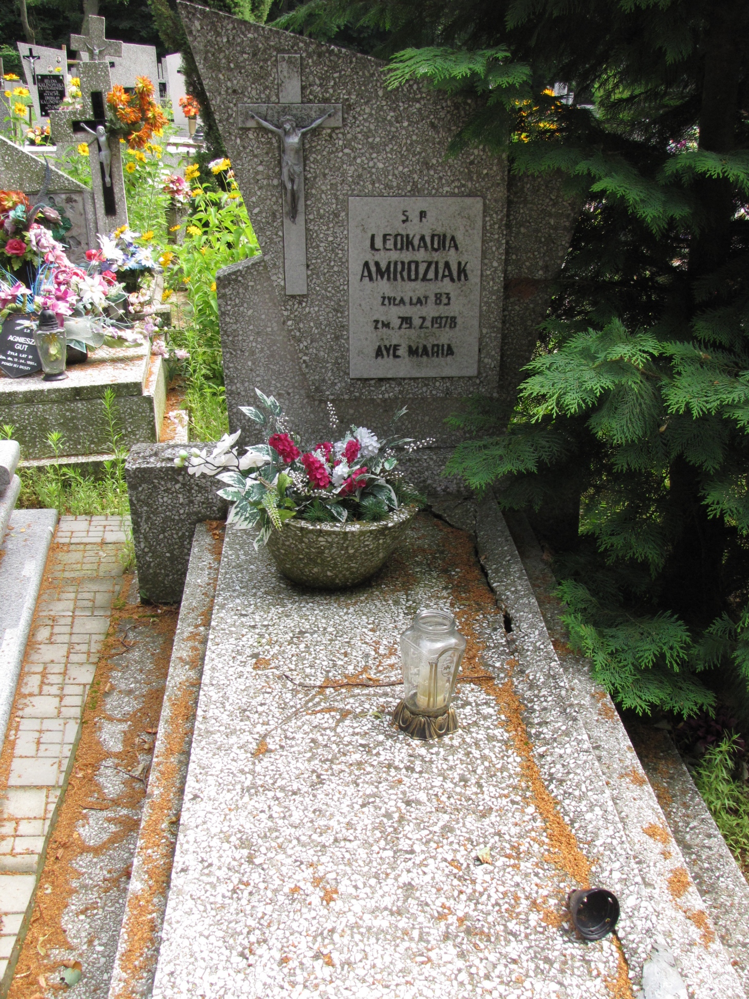 Grób Leokadia Amroziak