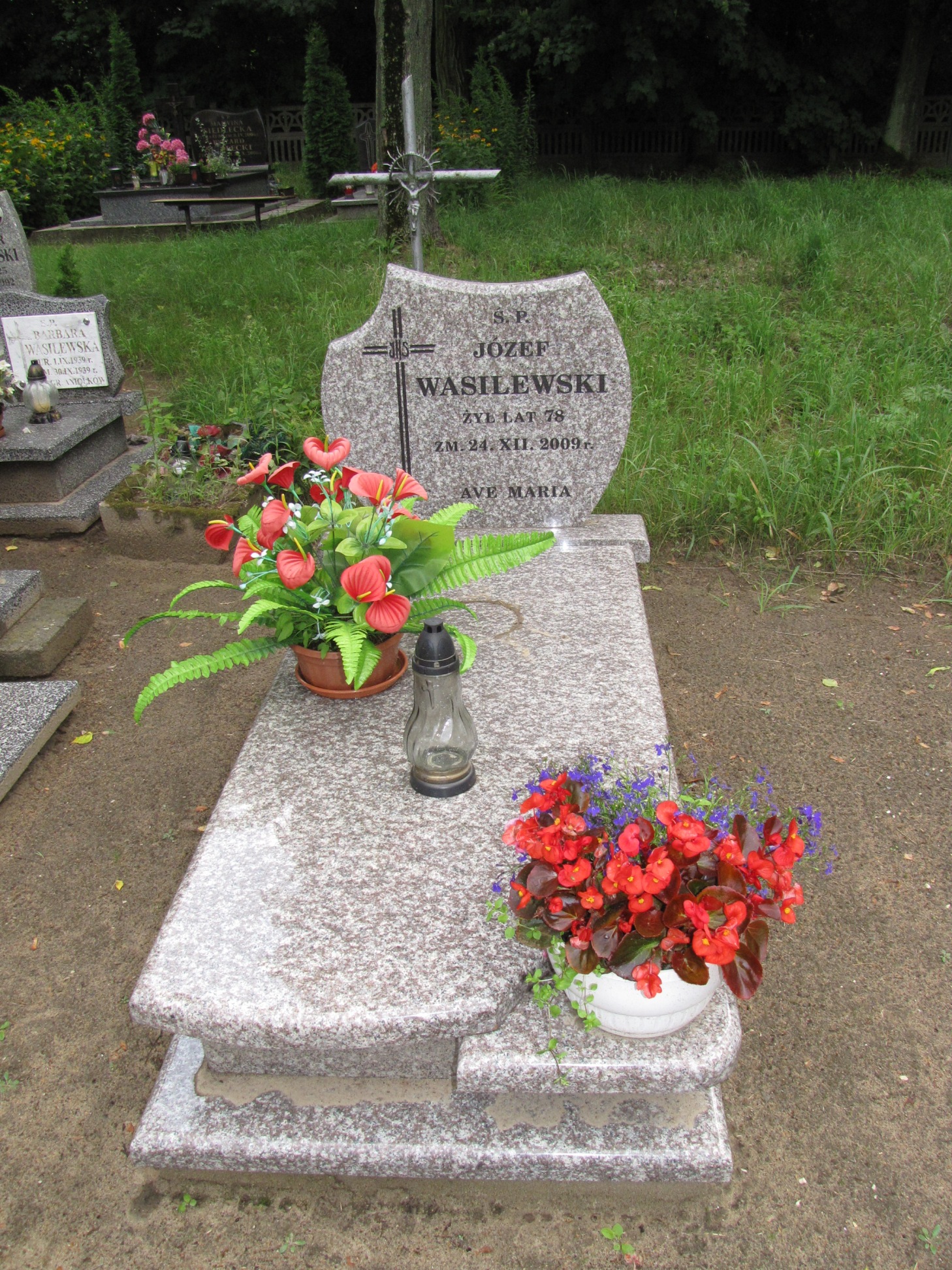 Grób Józef Wasilewski